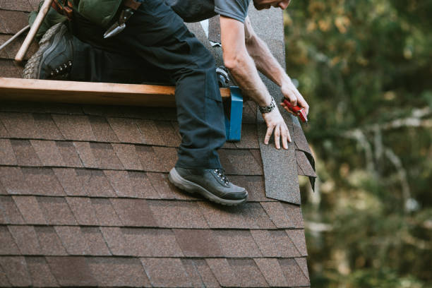 Best Roof Waterproofing Services  in Dousman, WI