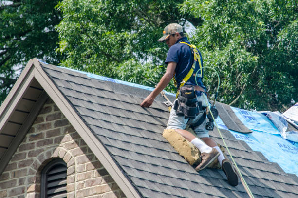 Best Roof Gutter Cleaning  in Dousman, WI